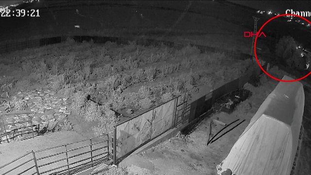 Narin Güran cinayetinde yeni görüntü ortaya çıktı: Salim Güran dere yatağında