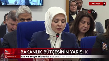 Aile ve Sosyal Hizmetler Bakanlığı'nın bütçe teklifi: 407,1 milyar TL