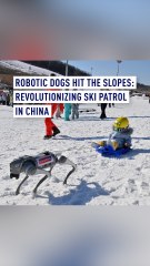 Robotic dogs hit the slopes: Revolutionizing ski patrol in China