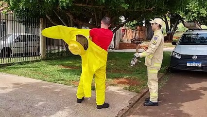 Ao subir em telhado para instalar internet, trabalhador é atacado por abelhas