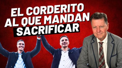 Alfonso Rojo: "Lobato es un corderito y López suplica a Sánchez que no lo mande a morir ante Ayuso"