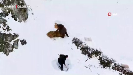 Erzincan’da yaban hayvanları için doğaya yem bırakıldı