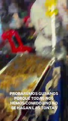 Jimena Barón y Julieta Poggio se animaron a comer gusanos en Tailandia