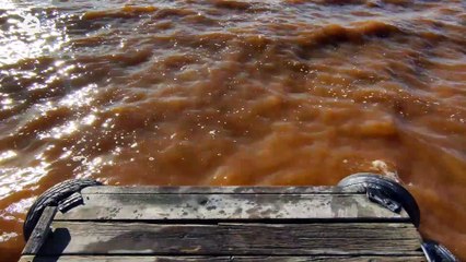 El doctor en Geografía Enrique Moltó analiza los impactos de la DANA en la Albufera