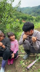 Over 30 years old, returning to the countryside to lead a simple and joyous rural life, Sunrise and sunset, having three meals a day with family, and being accompanied by family day and night – this is my ideal life.