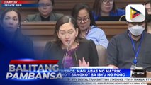 Sen. Hontiveros, naglabas ng matrix ng mga umano’y sangkot sa isyu ng POGO; Ex-Pres. Duterte, Alice Guo, at Harry Roque, kasama sa matrix