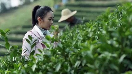 Tập 34 - 30 Chưa Phải Là Hết (Thuyết minh)_DV Giang Sơ Ảnh, Mao Hiểu Đồng, Đồng Dao