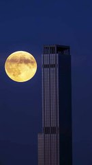 Ai technology based moon beauty | AI creation video | beauty of nature | Natural moon