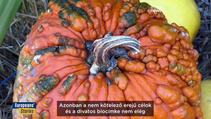 Van-e még esélye a biogazdálkodóknak Európában?
