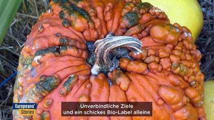 Haben Bio-Bauern noch eine Chance in Europa?