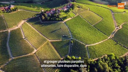 Bail rural : améliorations apportées par le preneur