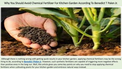 Benedict T Palen Jr - Why You Should Avoid Chemical Fertilizer For Kitchen Garden