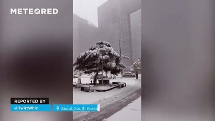 The first snowfall of the season blankets Seoul, South Korea