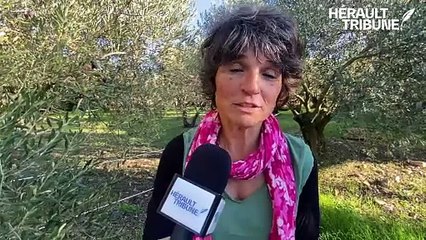 Découvrez l'Interview d'Hélène Vialla du Domaine de l'Olivie 🌿