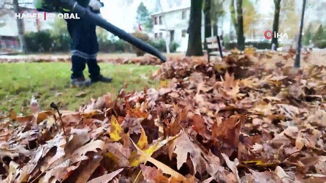 Turhal Belediyesi'nden çevre dostu torf üretimi