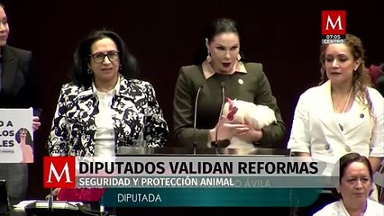 Diputados aprueban reformas para la protección y cuidado de los animales