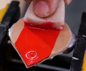 Pawsome projects for your little pup!