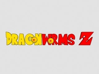 Dragon Worms Z : Presentation finale