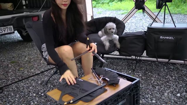 Solo Camping in the RAIN, Like a Dream☔ [Relaxing Sounds, Cosy Vibes]