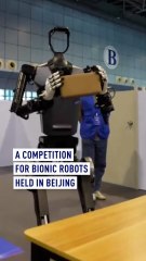 Beijing holds a competition for bionic robots