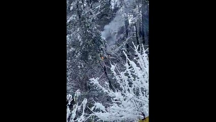 경기 양평군 전선 불꽃 튀어..."눈 쌓인 나무가 건드려" / YTN