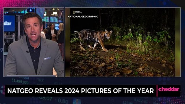 NatGeo Reveals 2024 Pictures of the Year