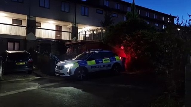 Police on scene after rescued woman, 78, seriously injured in suspected Sheffield arson