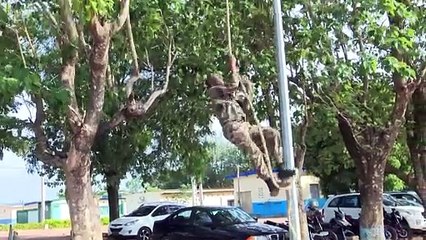Affaires maritimes  : 50 élèves officiers présentés au drapeau à Zambakro