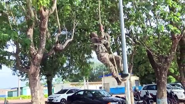Affaires maritimes : 50 élèves officiers présentés au drapeau à Zambakro
