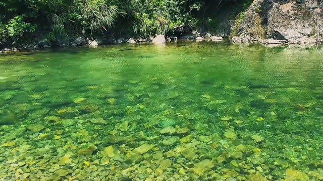 It was my first time playing in the water in the summer of 2024. Diving and paddle boarding were so much fun!#paddleboard #How happy is it to play in the water in summer #campingvlog #Summer is all about playing in th