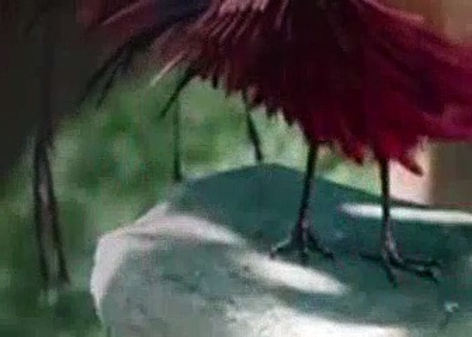 The Legend Of Shen Li Season 1 Episode 1 (English Sub)