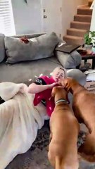 Spider Prank Gone Hilarious! 😂 Watch the Funniest Reactions!