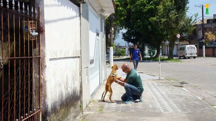 Jovem é surpreendida pela mãe e ganha de presente o cão 'especial', Juninho