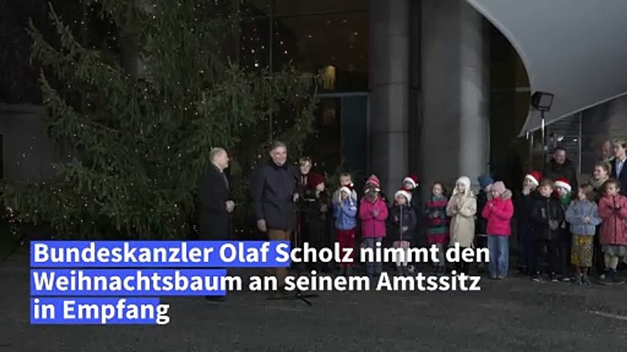 "Kanzlertanne": Kleiner Weihnachtsbaum für Olaf Scholz