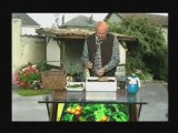 Repiquer des plants de tomates avec Hubert le Jardinier