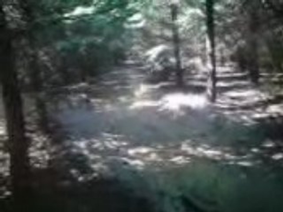 moi en quad raptor 350