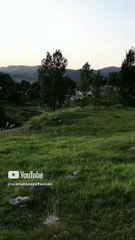 Usama Muzamil Hussain | -Outing_time 😎 | Lora Khayber Pakhtun Khawa | Pakistan | Vedios | Dailymotion