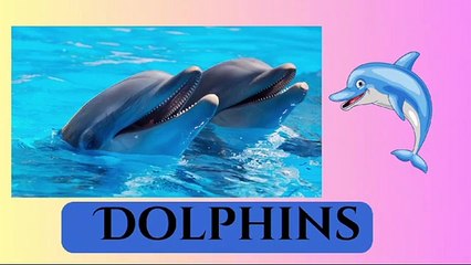 Sea Animals | Ocean Animals Vocabulary | Sea Animals Names in English | informative video #minicartoontv12