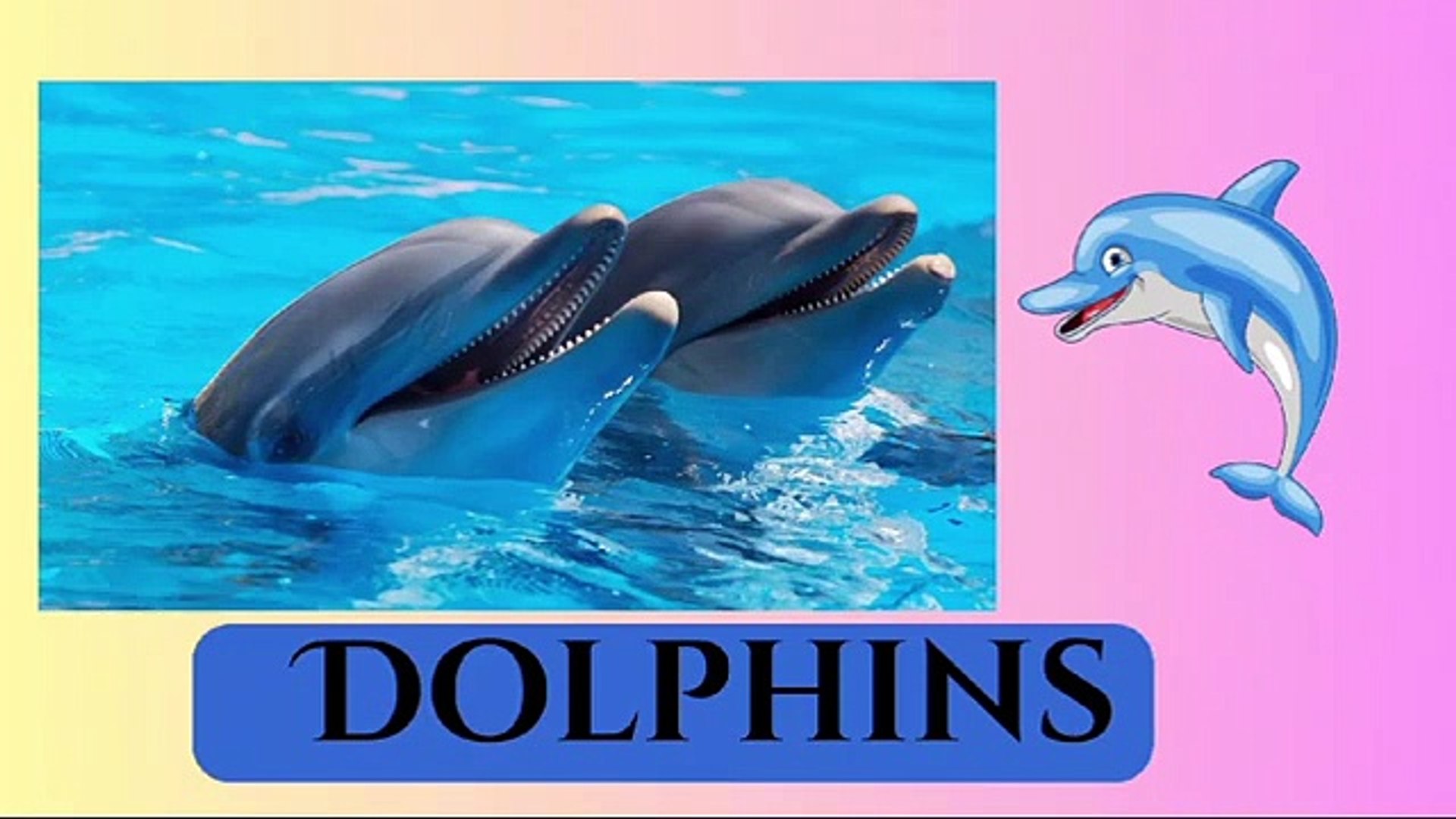 Sea Animals | Ocean Animals Vocabulary | Sea Animals Names in English | informative video #minicarto