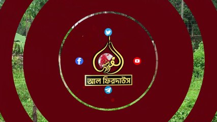 ভারতীয় বিএসএফ এর গুলিতে আহত দুই বাংলাদেশী || আল ফিরদাউস || Al Firdaws