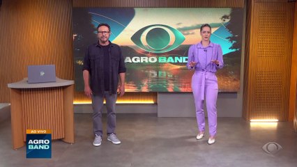 Uva casca dura faz cidade ser conhecida como capital do vinho no PR