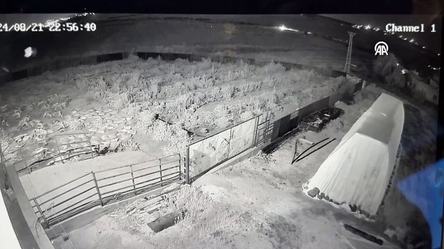 Narin cinayetinde Salim Güran'ın dereye gittiği görüntüler ortaya çıktı!
