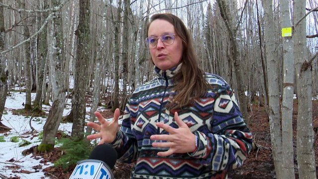 27 NOV TOPO MS aires protégées Gaspésie