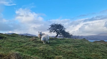 I visited a peaceful island on the west coast of Scotland - it was one of my favourite places on Hay's Way so far