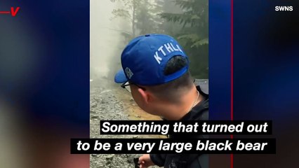 Keeping an Eye On Everything! This Large Bear Stalks a Group of Hikers For Close to a Mile