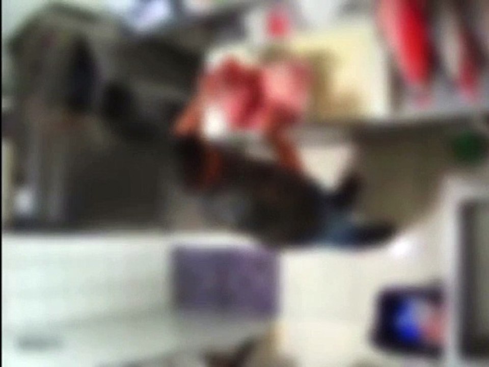 Funcionários de restaurante são presos suspeitos de furtar salmão para revender