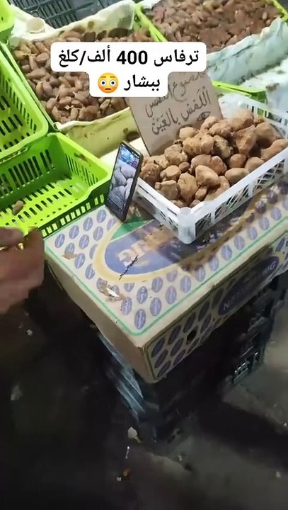 الترفاس ب4000 دج في بشار!