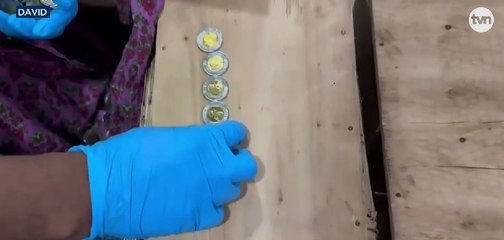 Ubican más cajas con decenas de monedas de un balboa presuntamente falsas en Chiriquí