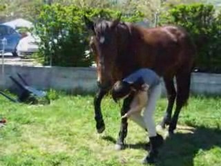 Ideal travail au sol