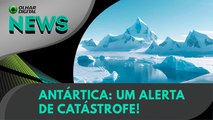 Antártica: um alerta de catástrofe! | 27/11/2024 | #OlharDigital